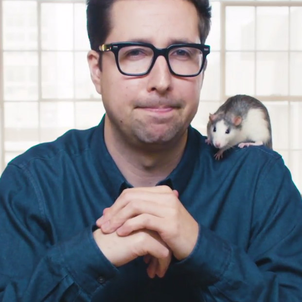 Мэтт Саймон (Matt Simon)