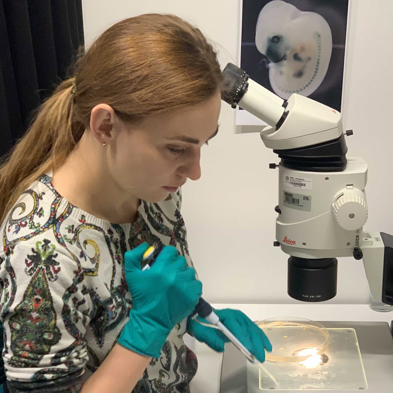 Дарья Романова